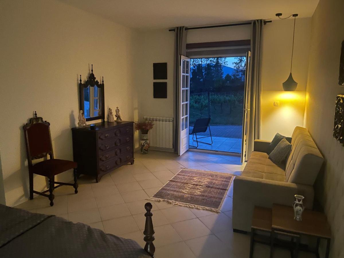 Quinta Da Paixao - Bed & Breakfast Pedraca Exterior photo